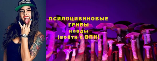 spice Елизово