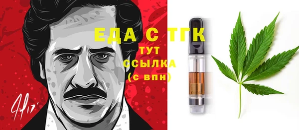 СК Елабуга