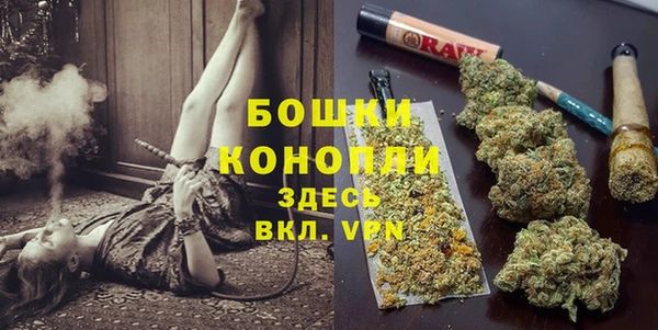 СК Елабуга