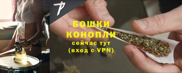 дурь Ельня