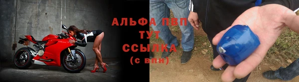 СК Елабуга