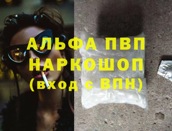 spice Елизово