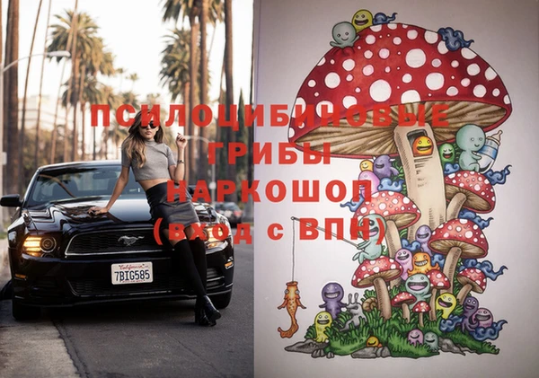дурь Ельня