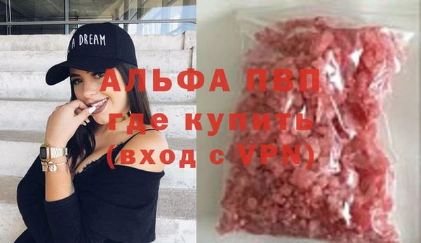 СК Елабуга