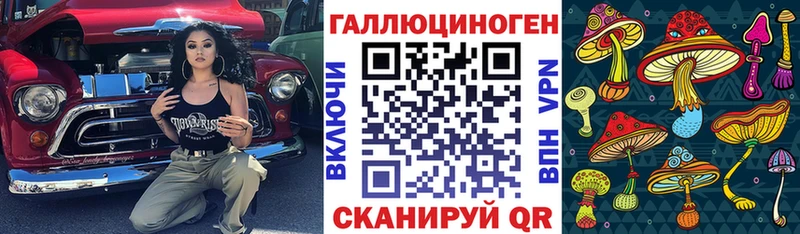Купить  Опочка  Галлюциногенные грибы Cubensis 